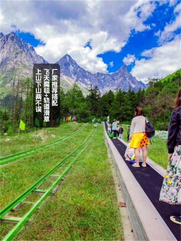 軌道滑草