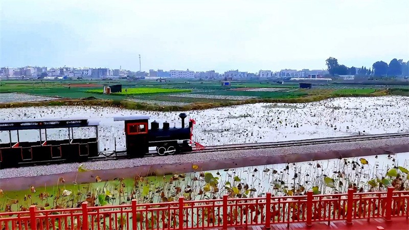軌道小火車